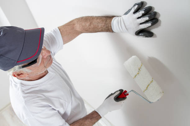 Trusted Machias, WA Mold Removal Experts